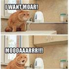 I Want Moar