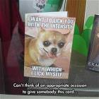 I Want To Lick You