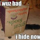 I Was Bad