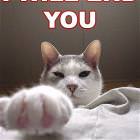 I Will End You