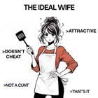 Ideal Wife