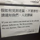 If You See Rats