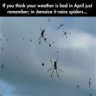 If You Think Its Bad