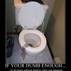 If Your Dumb Enough