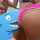 Im A Sharkkkkk