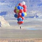 Im Flying