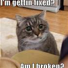 Im Getting Fixed