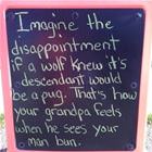Imagine