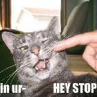 Iminur_heystopit