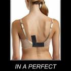 In A Perfect World