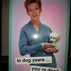 In Dog Years