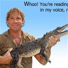 In My Voice