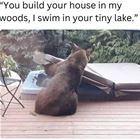 In My Woods