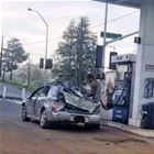 Incredible Car