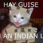 Indian Cat
