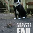 Instinct
