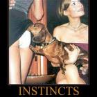 Instincts