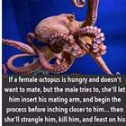 Interesting