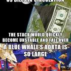 Interesting Facts And Observations