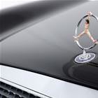 Interesting Hood Ornament