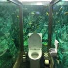Interesting Place To Poop