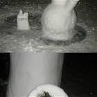 Interesting Snow Sculpture