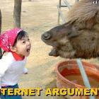 Internet Argument