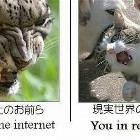 Internet Vs Real Life