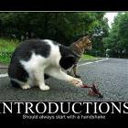Introductions