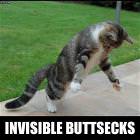 Invisible Buttsecks