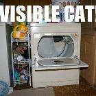 Invisible Cat