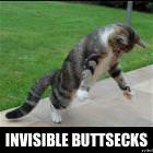 Invisible Friends