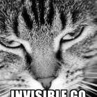 Invisible Gfy