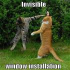 Invisible Window Installation