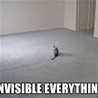 Invisible