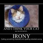 Irony
