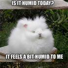 Is It Humid