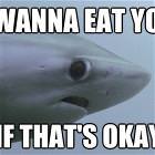 Is It Ok With You