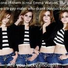 Is It Worth The Risk