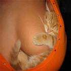 Is There Anything Boobs Cannot Do 4