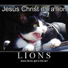 Its A Lion