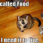Its Called Food