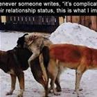 Its Complicated