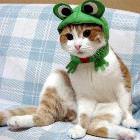 Its Cool