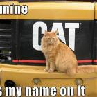 Its Mine