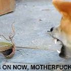 Its On Now