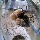 Jar Of Nope