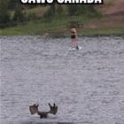 Jaws Canada