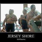 Jersey Shore Reunion