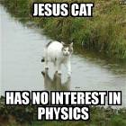 Jesus Cat